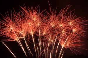 Exploding_Flower_Bed_fireworks