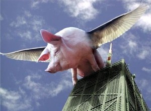 Genetically modified flying pig - no really!