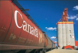 Elevator and grain cars